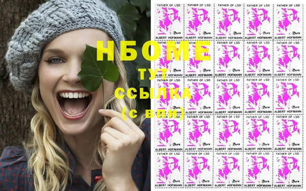 стафф Аркадак