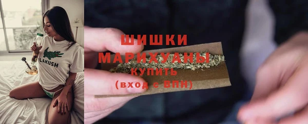 стафф Аркадак