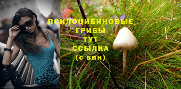 бутират Арсеньев