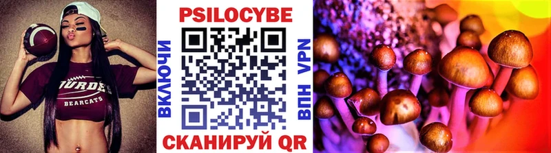 Галлюциногенные грибы Magic Shrooms  Мещовск 