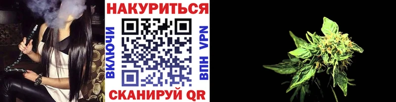 Бошки Шишки Amnesia  Мещовск 